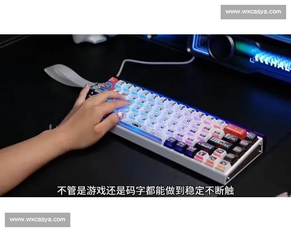 电竞键盘鼠标全面解析助力游戏操作体验提升
